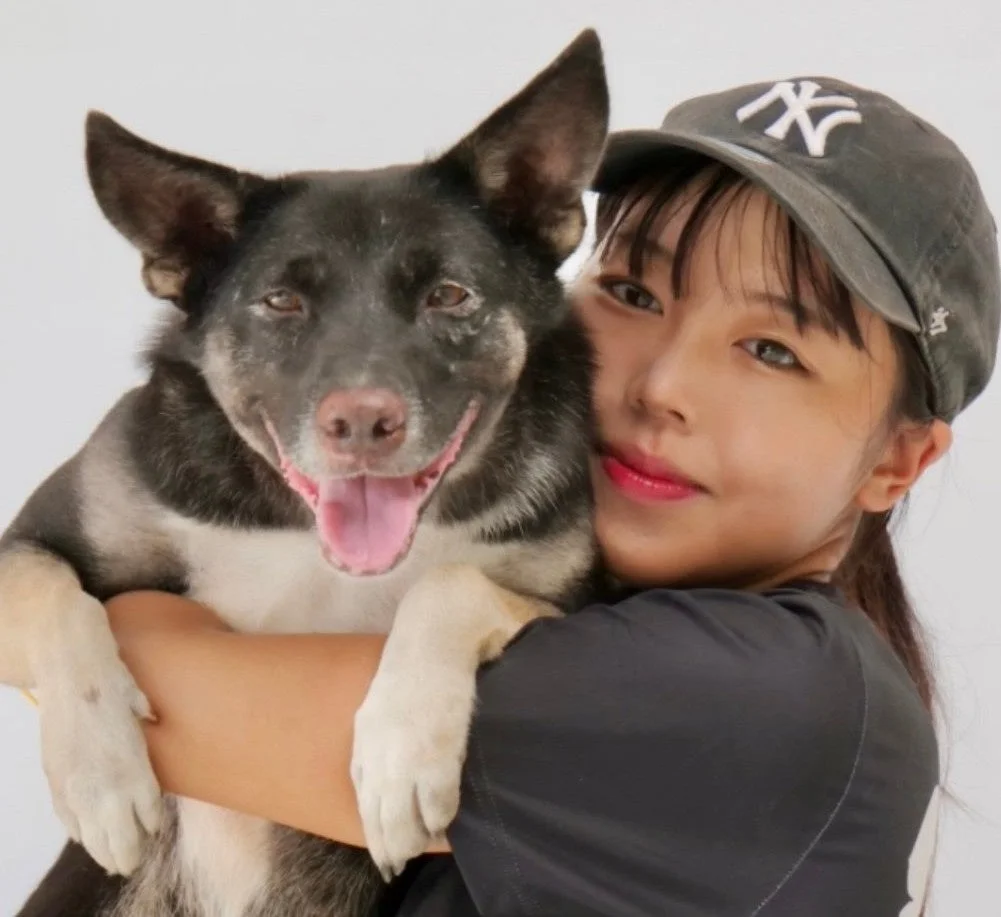 秋谷萌花｜Paw Match