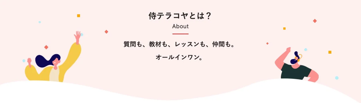 侍テラコヤとは? オールインワン